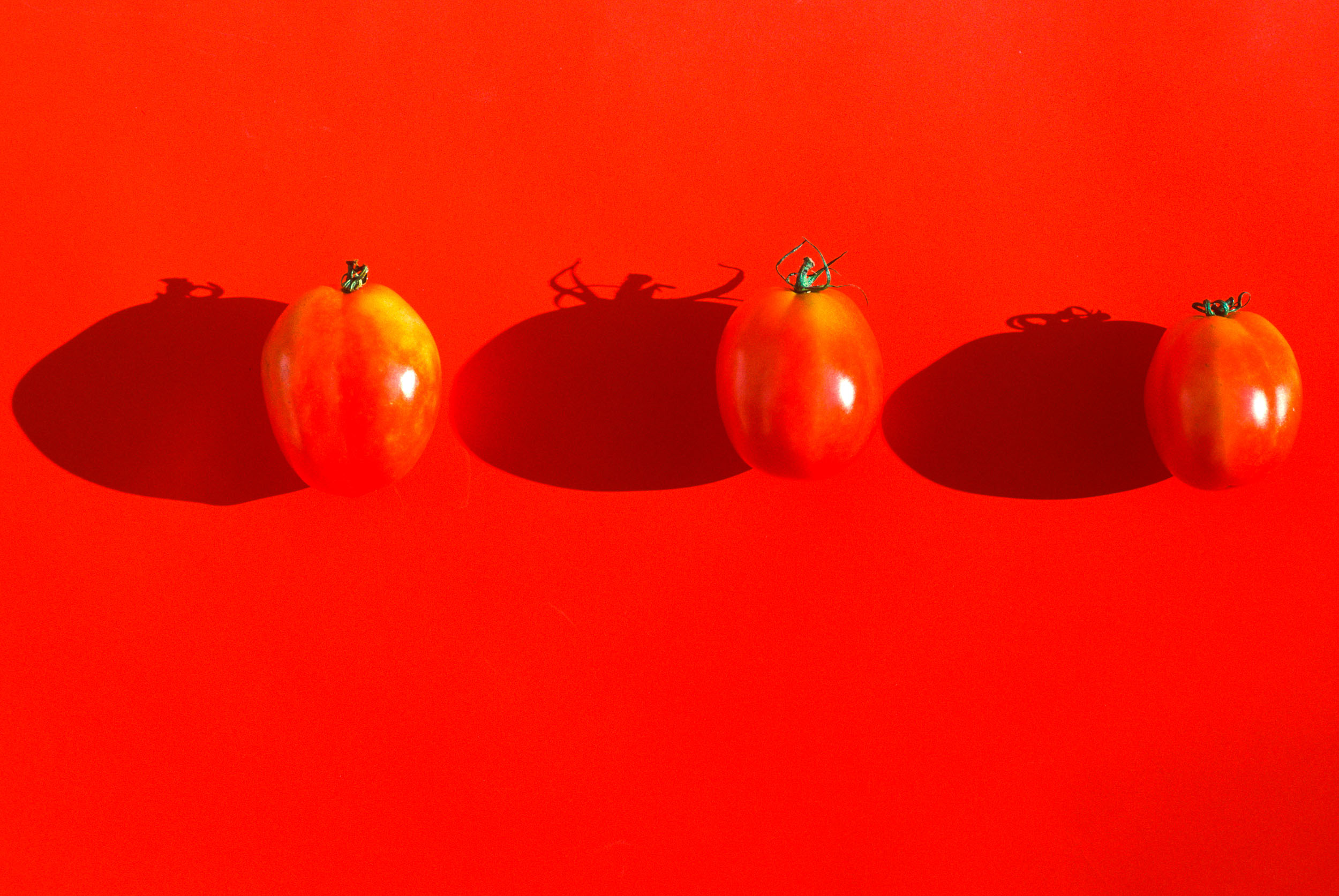 Tomatoes on Red