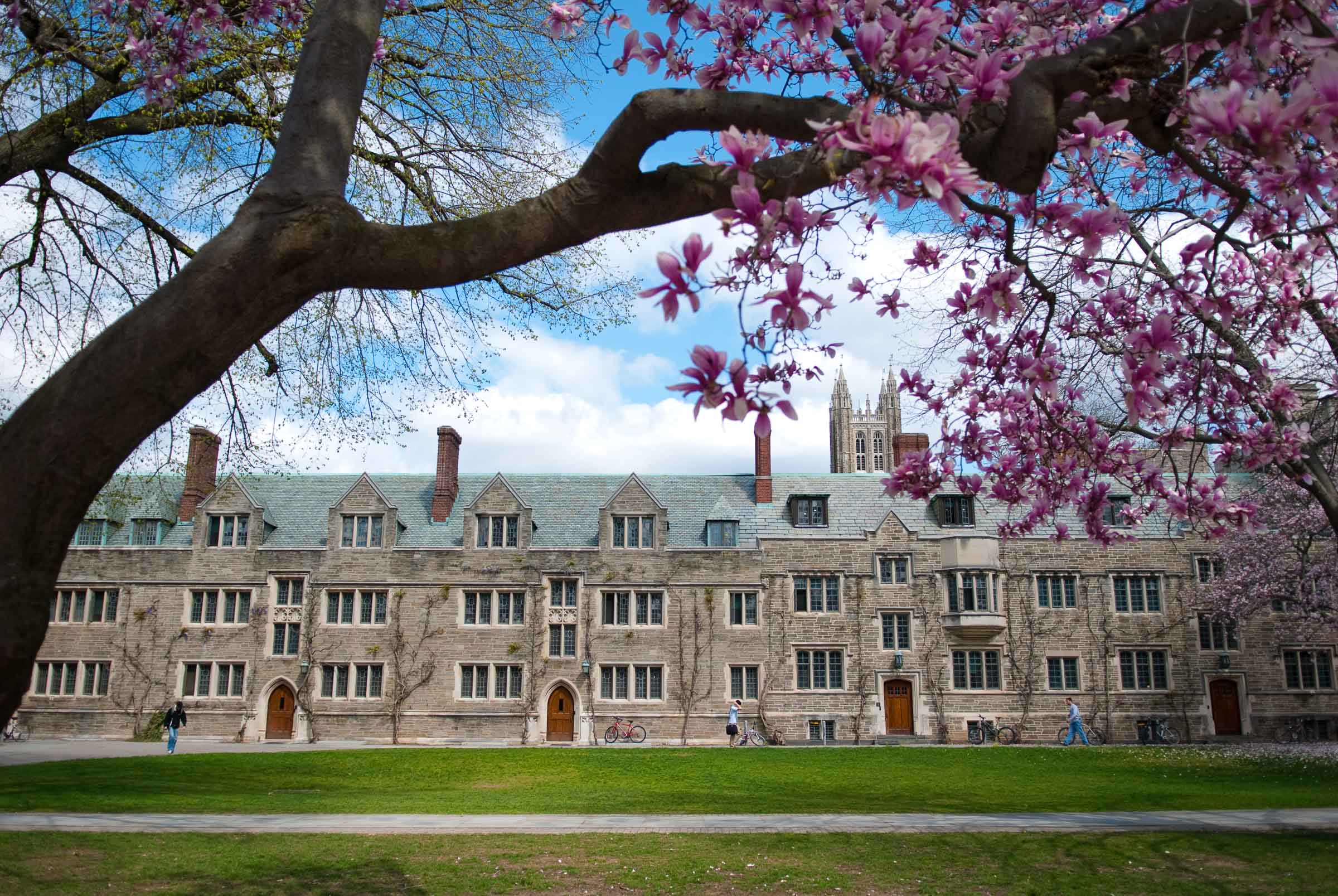 Princeton University Quad
